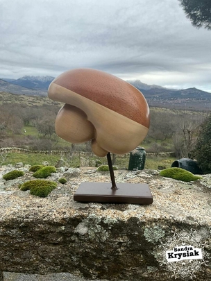 Cerebro tallado en madera de tilo y cedro tropical. Beatriz Blanquez.