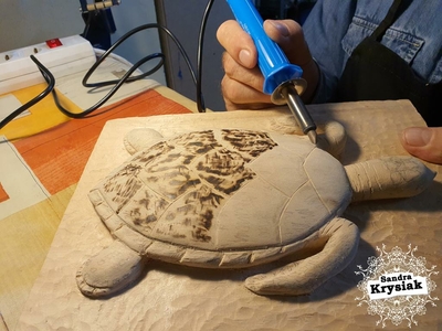 Alfonso. Tortuga en proceso.